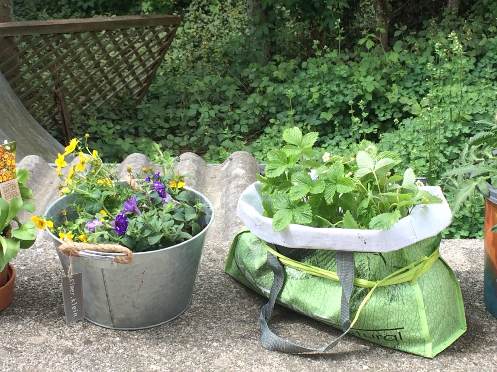 Der Garten In Der Tasche Fanpage Der Garten In Der Tasche